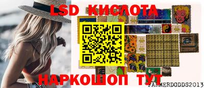 гидропоника Пугачёв