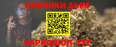 гидропоника Пугачёв